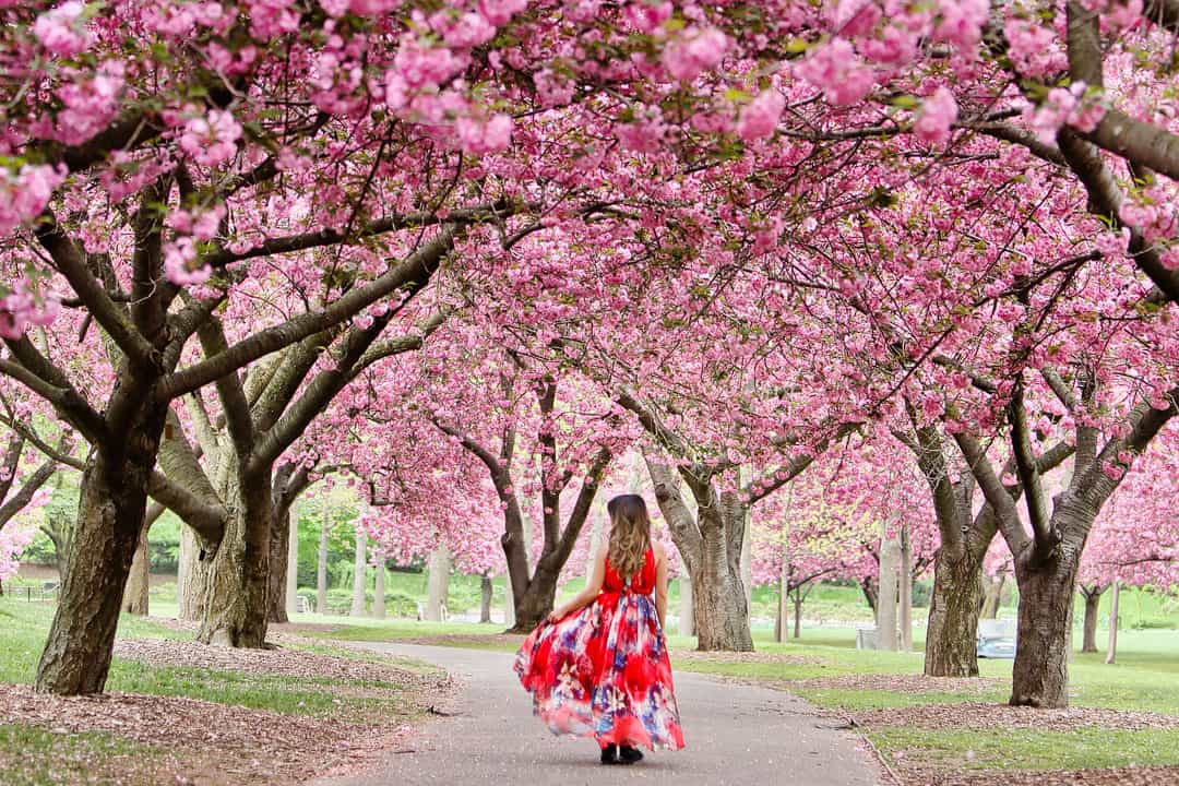 Best spring festivals in NYC 
