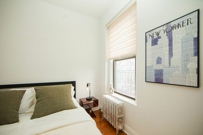 1 Bedroom / 1 Bathroom Apartment: The Apartment (Image 4)