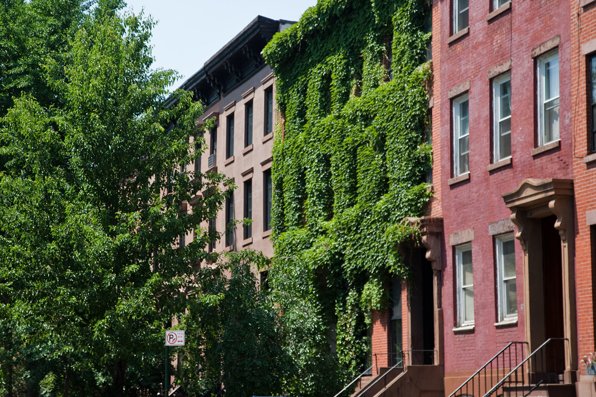 Crown Heights Buildings