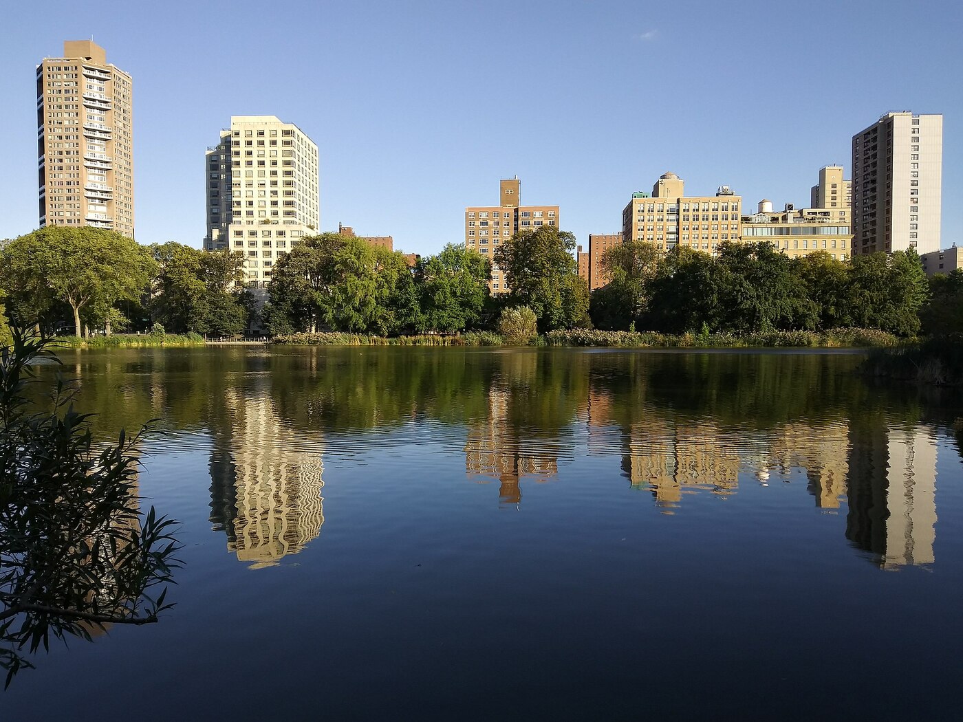 Harlem Neighborhood at The Upper Manhattan House (Image 5)