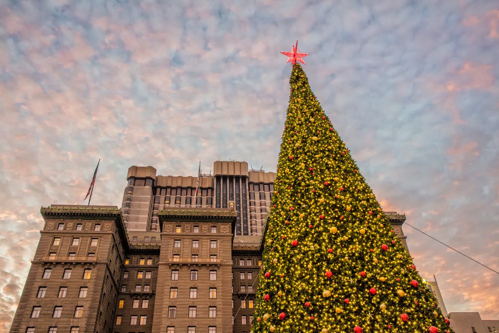 5 most Instagrammable SF winter spots (Image-1)